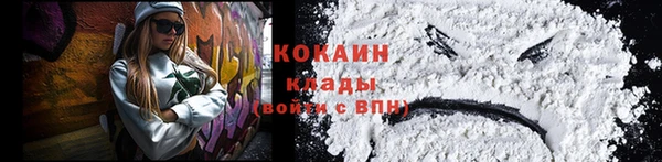 шишки Кукмор