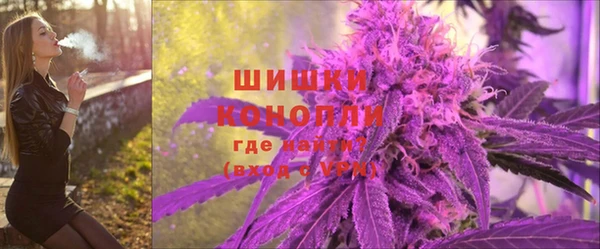 шишки Кукмор