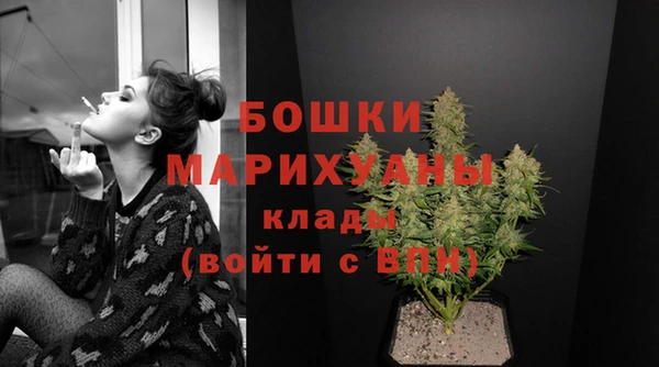 шишки Кукмор