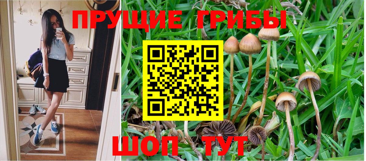 Галлюциногенные грибы GOLDEN TEACHER Михайловск