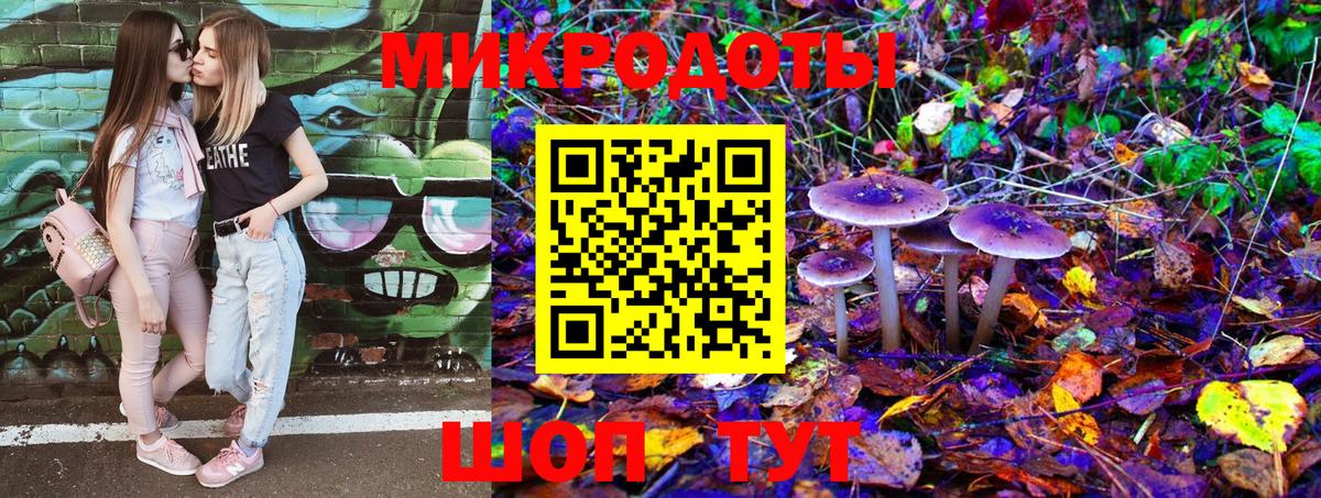 Михайловск  Галлюциногенные грибы Psilocybe  Вход с VPN  Галлюциногенные грибы прущие грибы 