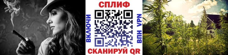 Бошки Шишки OG Kush Михайловск